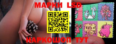 шишки Нарткала