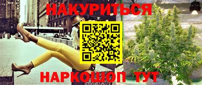 шишки Нарткала