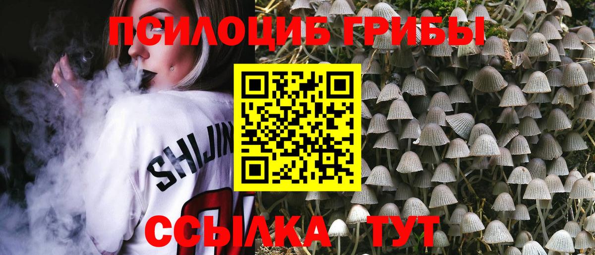 Псилоцибиновые грибы Magic Shrooms  Вход с VPN  Фрязино 